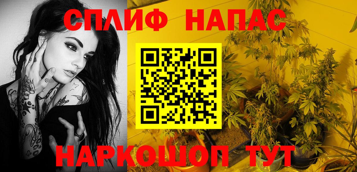 Шишки марихуана Bruce Banner  Бошки Шишки White Widow  Конопля план  Ахтубинск  Бошки Шишки Bruce Banner  Вход с VPN 